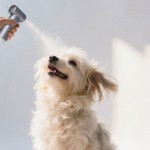 مینی پنکه توربینی دستی قابل حمل لنیس (LENYES) مدل LTF01