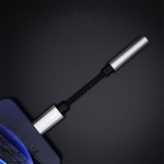 کابل تایپ سی به جک 3.5 میلی متری (Type-C To Aux) لنیس (LENYES) طول 10 سانتی متر مدل AX105-TC