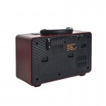 رادیو اسپیکردار دیجیتالی رم و فلش خور مییر (MEIER) مدل M-111BT