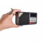 رادیو اسپیکردار FM دیجیتالی رم و فلش خور جوک (JOC) مدل H6108REC