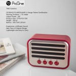 اسپیکر بلوتوث رم و فلش خور ProOne مدل Real Series Speaker