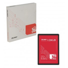 هارد SSD اینترنال GLOWAY مدل Fervent Series 120GB