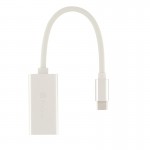 تبدیل Type-C به HDMI پرووان (ProOne) مدل PHU555