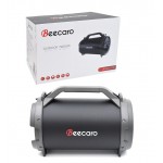 اسپیکر بلوتوث رم و فلش خور بیکارو (Beecaro) مدل GS28C