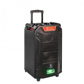 اسپیکر چمدانی بلوتوث رم و فلش خور پرووان (ProOne) مدل PSB4965