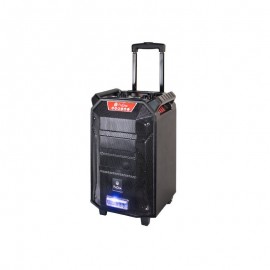 اسپیکر چمدانی بلوتوث رم و فلش خور پرووان (ProOne) مدل PSB4955