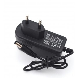 آداپتور سوزنی 6V/1A مدل 0610