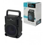 اسپیکر بلوتوث رم و فلش خور GREATNICE مدل GTS-1360
