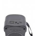 اسپیکر بلوتوث رم و فلش خور ZQS1205