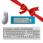 بسته 10 عددی کیبورد و موس سیم دار رپو (RAPOO) مدل X120Pro + یک عدد رایگان
